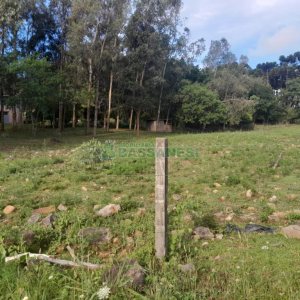 Terreno com 4700m², no bairro De Zorzi em Caxias do Sul para Comprar