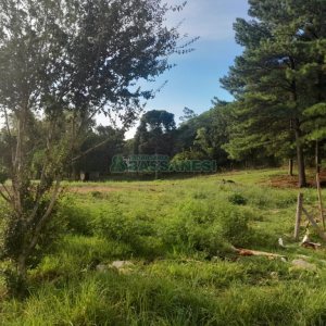 Terreno com 4700m², no bairro De Zorzi em Caxias do Sul para Comprar