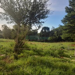 Terreno com 4700m², no bairro De Zorzi em Caxias do Sul para Comprar