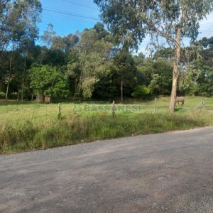 Terreno com 4700m², no bairro De Zorzi em Caxias do Sul para Comprar