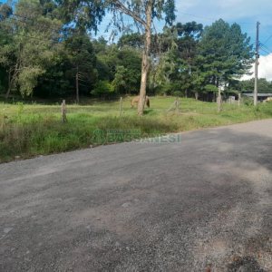 Terreno com 4700m², no bairro De Zorzi em Caxias do Sul para Comprar