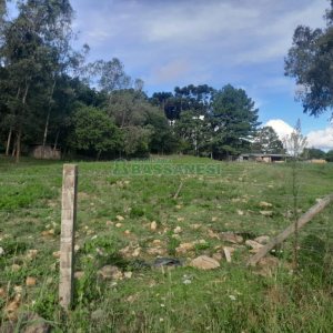 Terreno com 4700m², no bairro De Zorzi em Caxias do Sul para Comprar