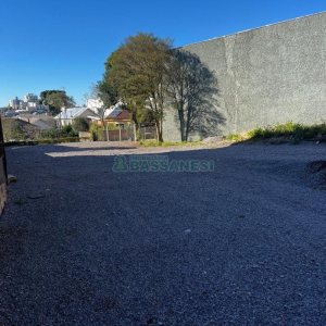Terreno com 700m², no bairro São Pelegrino em Caxias do Sul para Alugar
