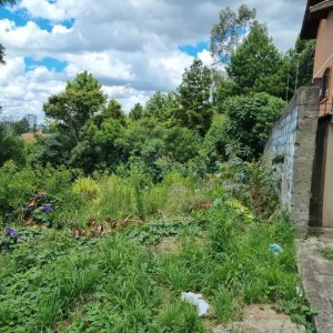 Casa com 120m², 4 dormitórios, 2 vagas, no bairro São Luiz em Caxias do Sul para Comprar