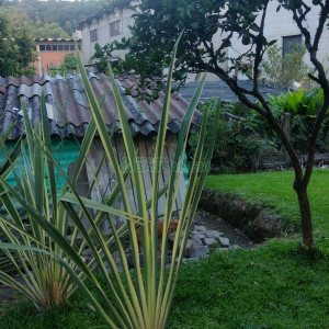 Casa com 116m², 3 dormitórios, 2 vagas, no bairro Vinhedos em Caxias do Sul para Comprar