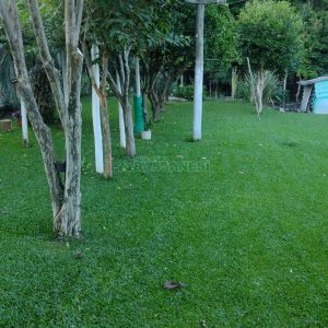 Casa com 116m², 3 dormitórios, 2 vagas, no bairro Vinhedos em Caxias do Sul para Comprar