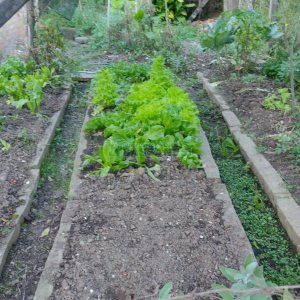 Casa com 116m², 3 dormitórios, 2 vagas, no bairro Vinhedos em Caxias do Sul para Comprar