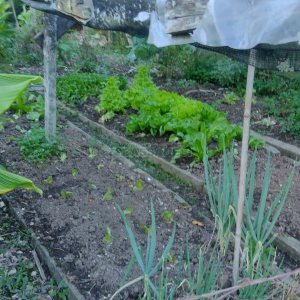 Casa com 116m², 3 dormitórios, 2 vagas, no bairro Vinhedos em Caxias do Sul para Comprar