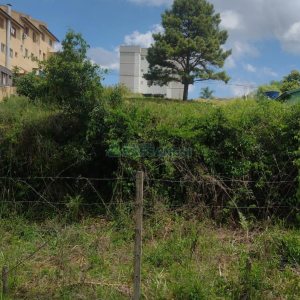 Terreno com 360m², no bairro Industrial em Caxias do Sul para Comprar