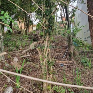 Terreno com 336m², no bairro Cinqüentenário em Caxias do Sul para Comprar
