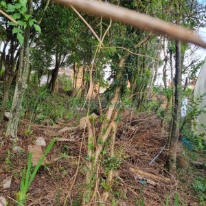 Terreno com 336m², no bairro Cinqüentenário em Caxias do Sul para Comprar