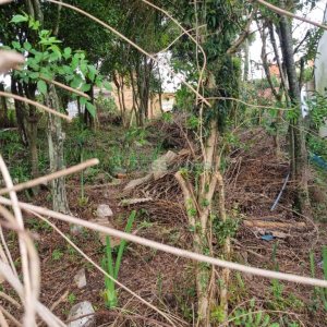 Terreno com 336m², no bairro Cinqüentenário em Caxias do Sul para Comprar