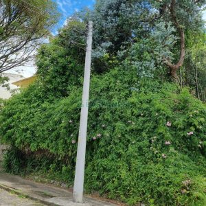Terreno com 336m², no bairro Cinqüentenário em Caxias do Sul para Comprar