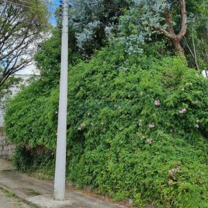 Terreno com 336m², no bairro Cinqüentenário em Caxias do Sul para Comprar