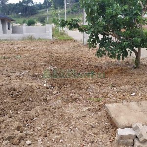 Terreno, no bairro São Caetano em Caxias do Sul para Alugar