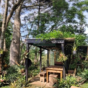 Casa com 211m², 3 dormitórios, 2 vagas, no bairro Linha 40 em Caxias do Sul para Comprar