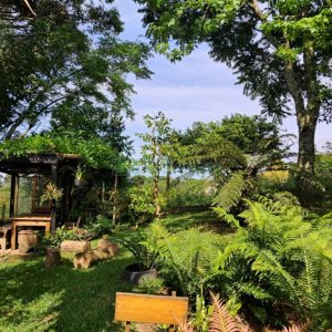 Casa com 211m², 3 dormitórios, 2 vagas, no bairro Linha 40 em Caxias do Sul para Comprar