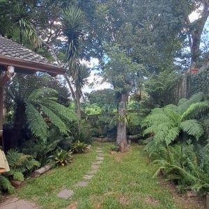 Casa com 211m², 3 dormitórios, 2 vagas, no bairro Linha 40 em Caxias do Sul para Comprar