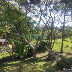 Casa com 211m², 3 dormitórios, 2 vagas, no bairro Linha 40 em Caxias do Sul para Comprar