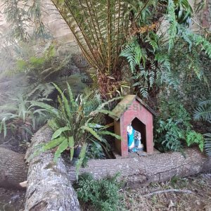 Casa com 211m², 3 dormitórios, 2 vagas, no bairro Linha 40 em Caxias do Sul para Comprar