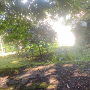 Casa com 637m², 2 dormitórios, no bairro Centro em Caxias do Sul para Comprar