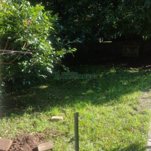 Casa com 637m², 2 dormitórios, no bairro Centro em Caxias do Sul para Comprar