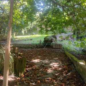 Casa com 637m², 2 dormitórios, no bairro Centro em Caxias do Sul para Comprar