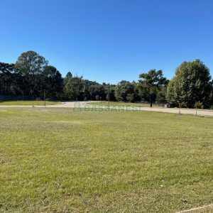 Terreno com 700m², no bairro Pedancino em Caxias do Sul para Comprar