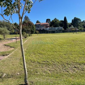 Terreno com 700m², no bairro Pedancino em Caxias do Sul para Comprar