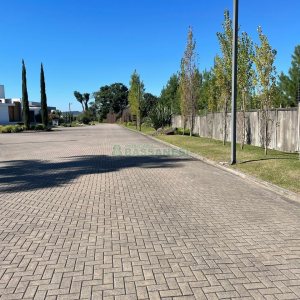 Terreno com 700m², no bairro Pedancino em Caxias do Sul para Comprar