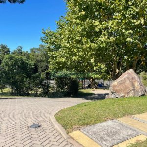 Terreno com 700m², no bairro Pedancino em Caxias do Sul para Comprar