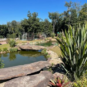 Terreno com 700m², no bairro Pedancino em Caxias do Sul para Comprar