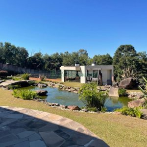 Terreno com 700m², no bairro Pedancino em Caxias do Sul para Comprar