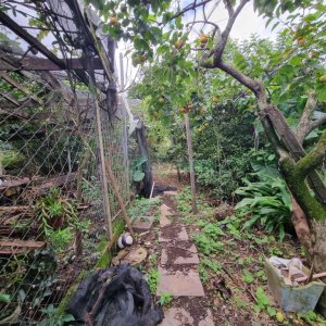 Casa com 250m², 3 dormitórios, 2 vagas, no bairro Bela Vista em Caxias do Sul para Comprar