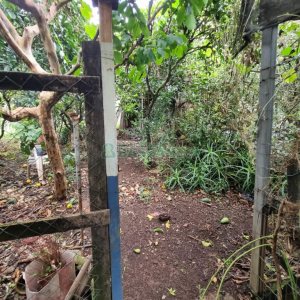 Casa com 250m², 3 dormitórios, 2 vagas, no bairro Bela Vista em Caxias do Sul para Comprar