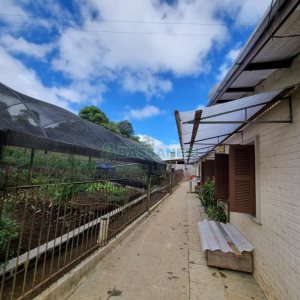 Chácara com 250m², 3 dormitórios, no bairro Criúva em Caxias do Sul para Comprar