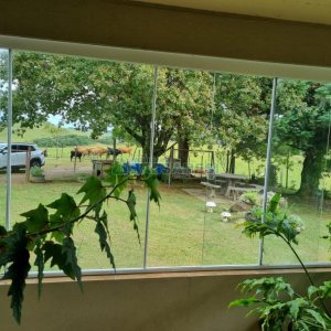 Chácara com 250m², 3 dormitórios, no bairro Criúva em Caxias do Sul para Comprar