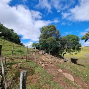 Chácara com 250m², 3 dormitórios, no bairro Criúva em Caxias do Sul para Comprar