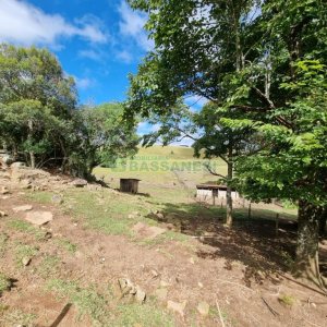 Chácara com 250m², 3 dormitórios, no bairro Criúva em Caxias do Sul para Comprar