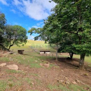 Chácara com 250m², 3 dormitórios, no bairro Criúva em Caxias do Sul para Comprar