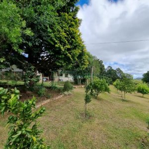 Chácara com 250m², 3 dormitórios, no bairro Criúva em Caxias do Sul para Comprar