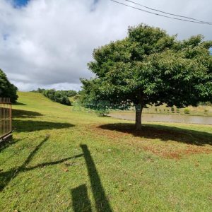 Chácara com 250m², 3 dormitórios, no bairro Criúva em Caxias do Sul para Comprar