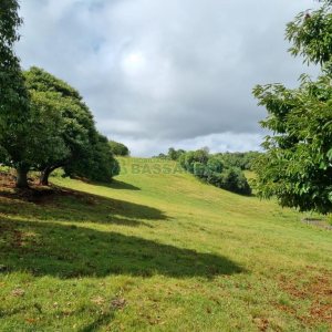 Chácara com 250m², 3 dormitórios, no bairro Criúva em Caxias do Sul para Comprar