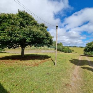 Chácara com 250m², 3 dormitórios, no bairro Criúva em Caxias do Sul para Comprar