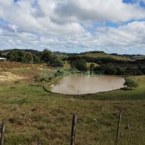 Chácara com 250m², 3 dormitórios, no bairro Criúva em Caxias do Sul para Comprar