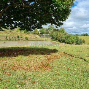 Chácara com 250m², 3 dormitórios, no bairro Criúva em Caxias do Sul para Comprar