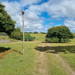 Chácara com 250m², 3 dormitórios, no bairro Criúva em Caxias do Sul para Comprar