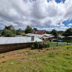 Chácara com 250m², 3 dormitórios, no bairro Criúva em Caxias do Sul para Comprar