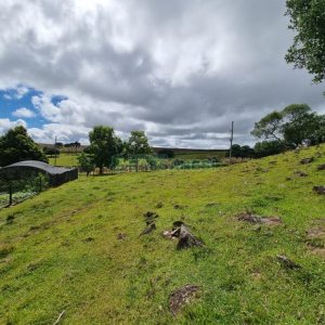 Chácara com 250m², 3 dormitórios, no bairro Criúva em Caxias do Sul para Comprar