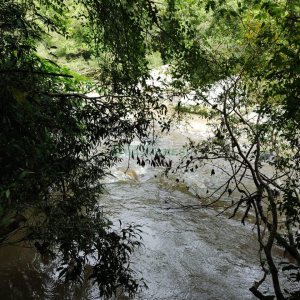 Chácara com 46600m², no bairro Galópolis em Caxias do Sul para Comprar